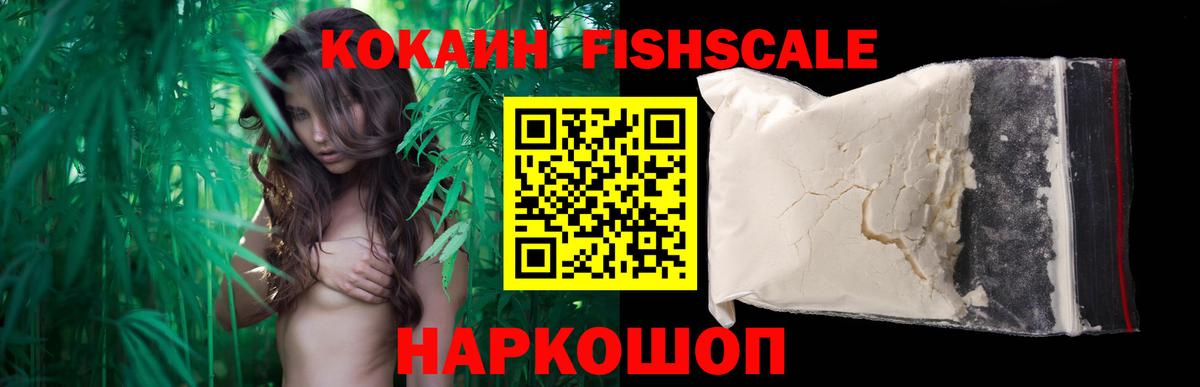 Знаменск  Cocaine Эквадор  Cocaine Fish Scale  Кокаин  Вход с VPN 