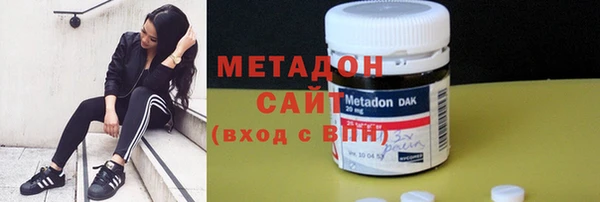 шишки Новодвинск