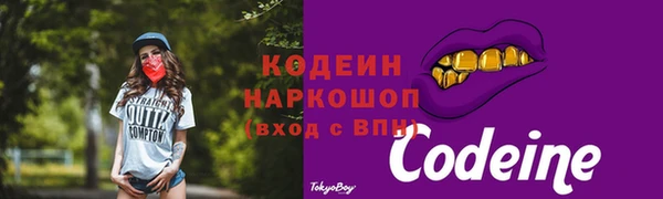 шишки Новодвинск