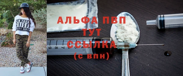 шишки Новодвинск