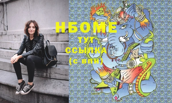 шишки Новодвинск