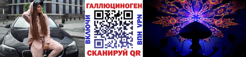 ссылка на мегу   дарнет шоп  Знаменск  Псилоцибиновые грибы мицелий 