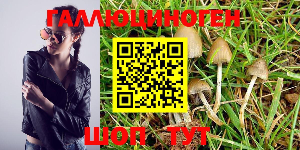 Знаменск  Галлюциногенные грибы MAGIC MUSHROOMS  Вход с VPN 